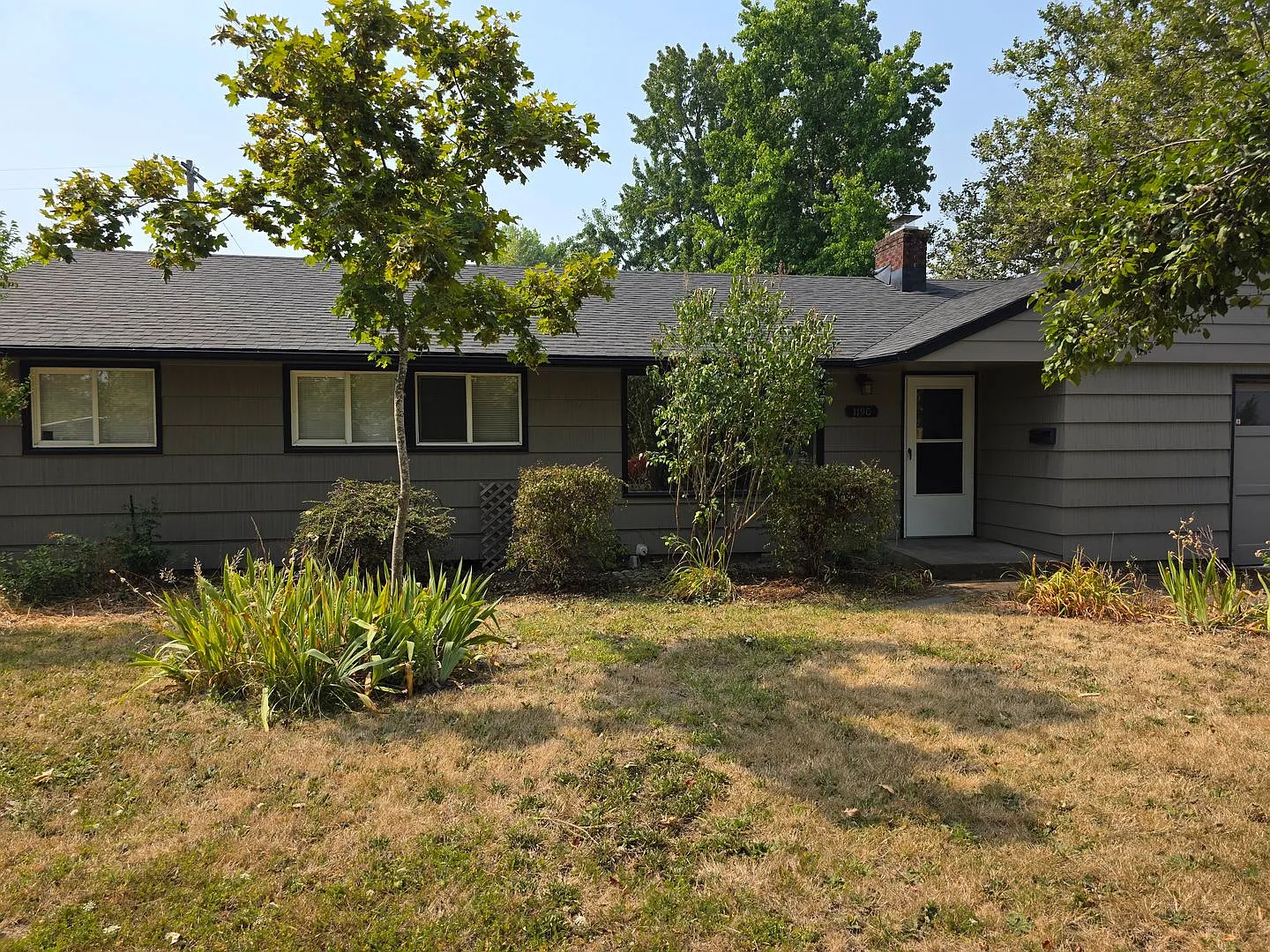 1190w18 — Photo 1