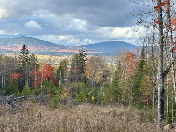 Lot 20 Moose Ridge Road, Dallas Plt, ME 04970