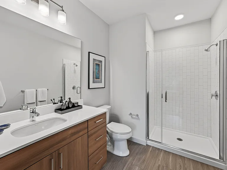Contemporary Bathroom Designed for Comfort and Style