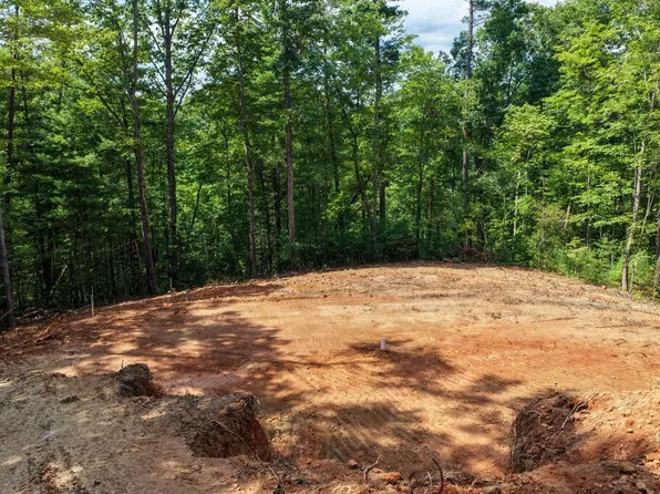 1 Rock Crk, Cherry Log, GA 30522
