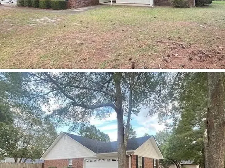 1635 Carissa Dr — Photo 3