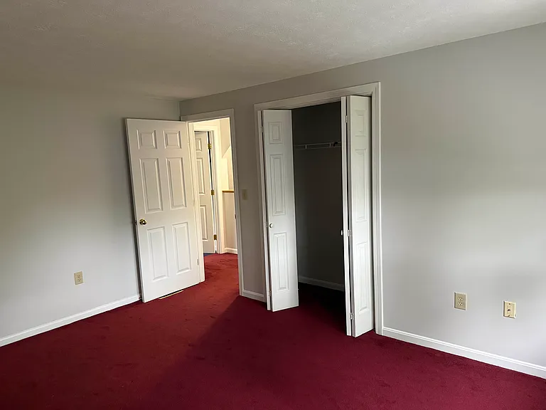 Second bedroom with large closet and plush carpeting