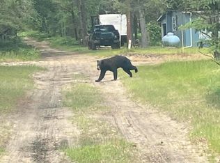 1295 McIntyres Landing Rd, Grayling, MI 49738