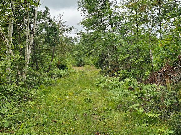 4th image of PARCEL Sunnyside Rd SE #B