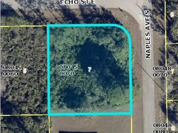 1252 Echo St E, Lehigh Acres, FL 33974