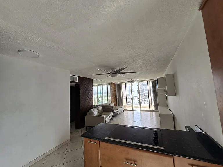 3409 Avenue Isla Verde #1401 — Photo 5