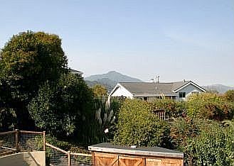 Mt. Tamalpais