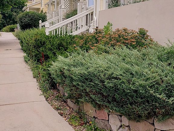 Front walkway.