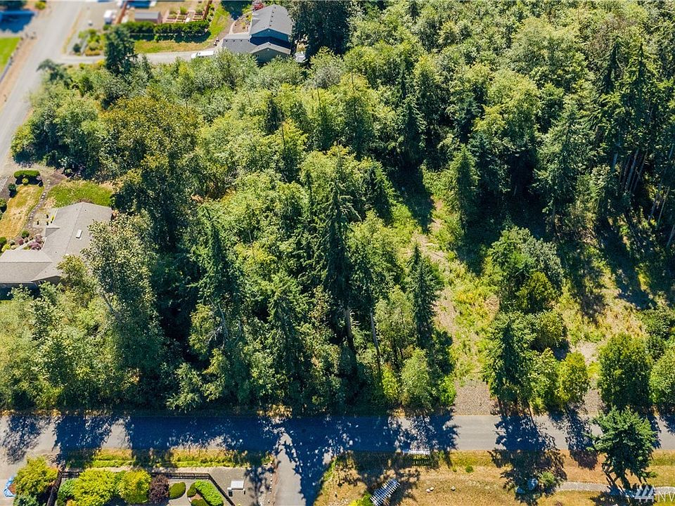 Lot sits at clearing a bit off center to the right.  Backyard faces South.