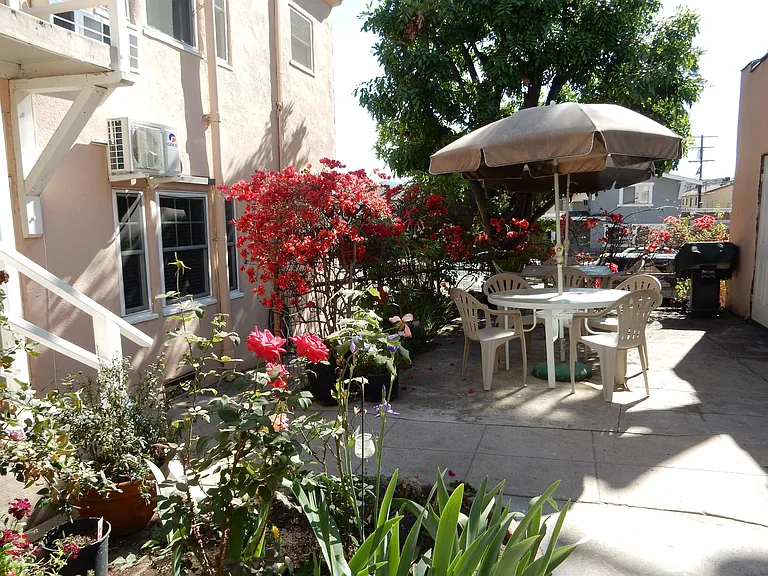 Shared outdoor patio area