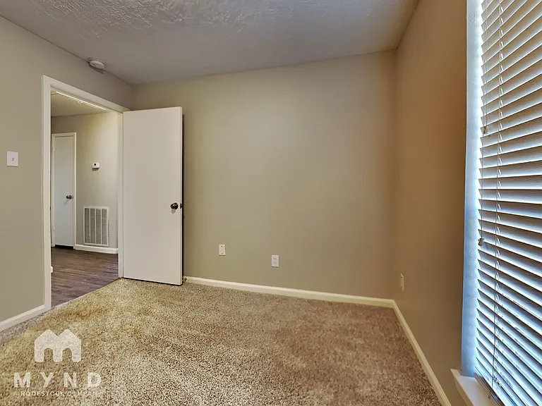 11923 Medicine Bow Cir — Photo 19