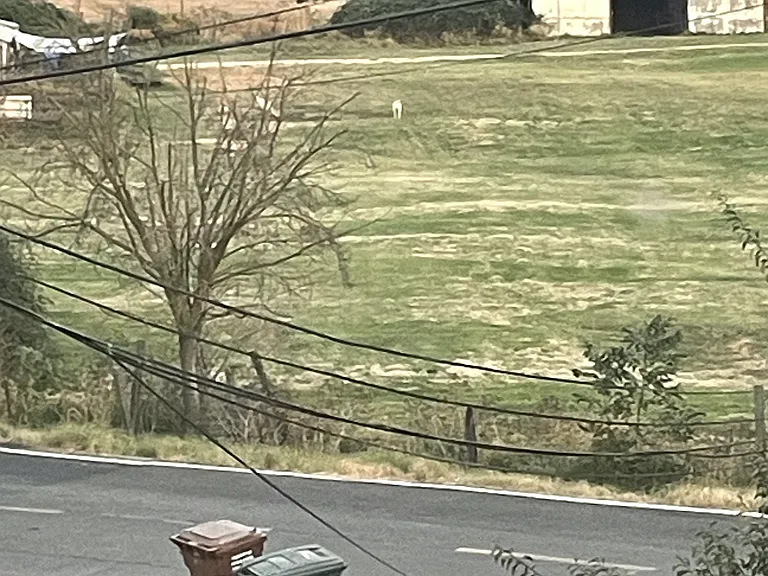 Taylor Rd — Photo 3