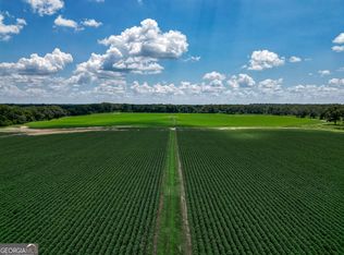 0 Nantze Springs Rd, Arlington, GA 39813