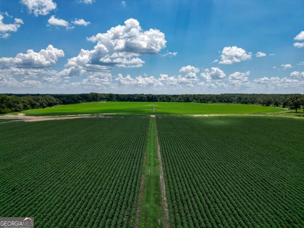 0 Nantze Springs Rd, Arlington, GA 39813