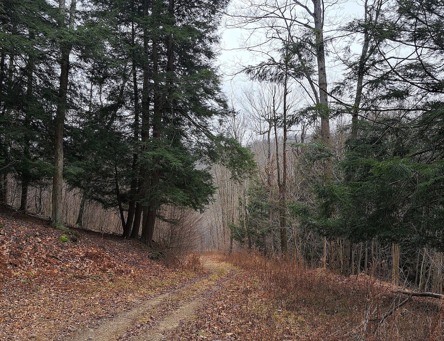 Swartz Rd LOT WP001, Ulysses, PA 16948 Zillow