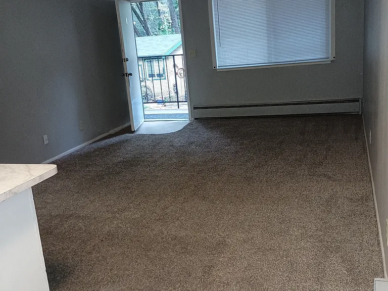 4300 Gray St — Photo 12