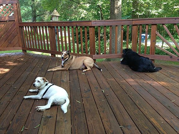 Front deck 2
