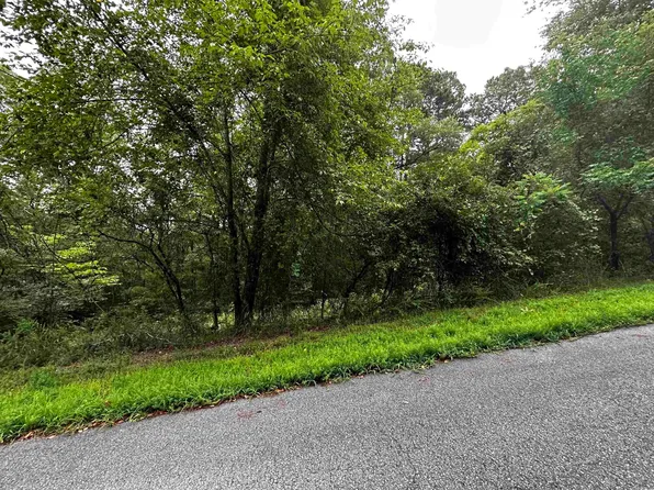 LOT 67 Cobalt Bay Dr, Shirley, AR 72153