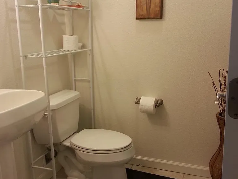 Powder room (1/2 bathroom)