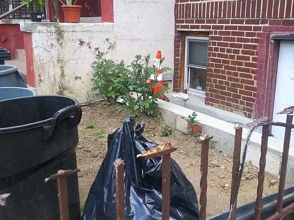 4th image of 730 Noble Ave