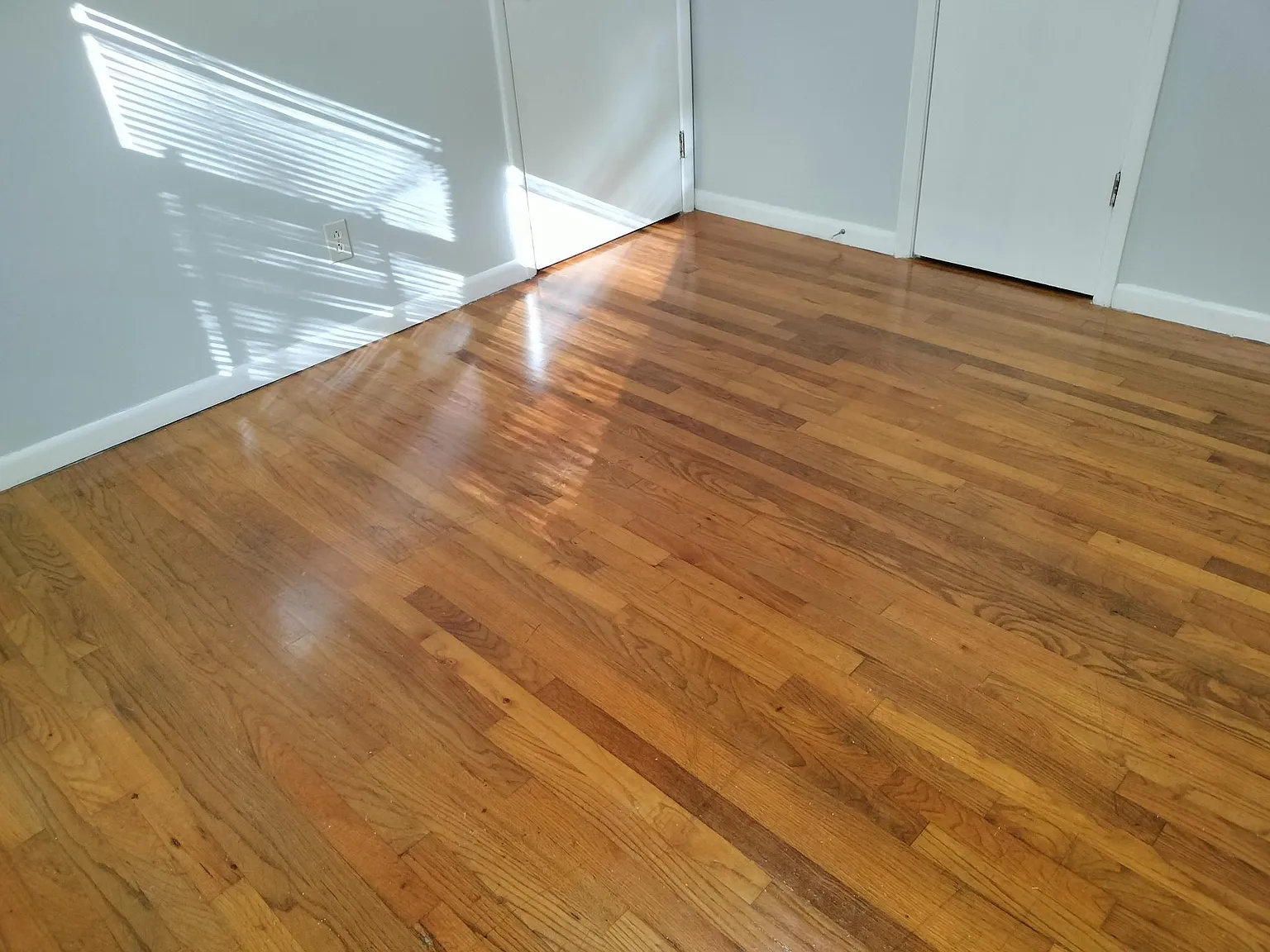 2 bed, 1000 sqft, $1,350 — Photo 3