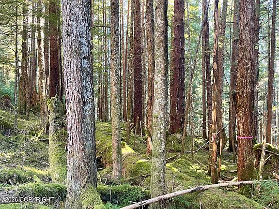 5th image of TRACT 1 Nanny Bay Rd