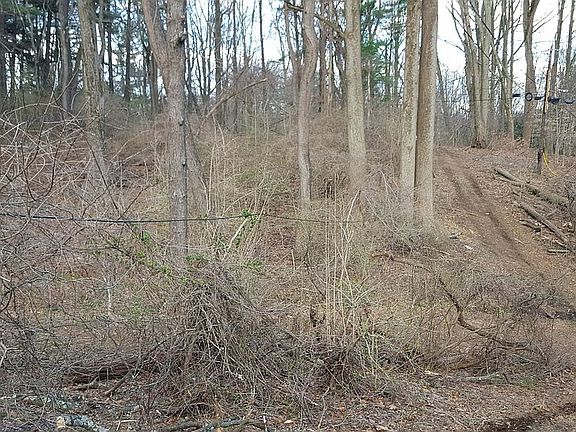 Part of 1/2 mile trail @ property