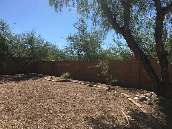 Back yard