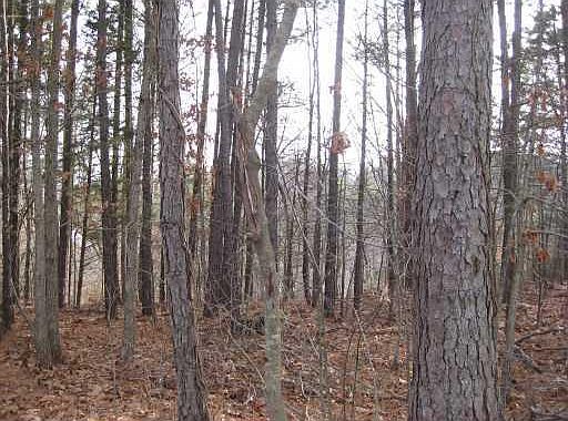 1st image of Avebury Ln