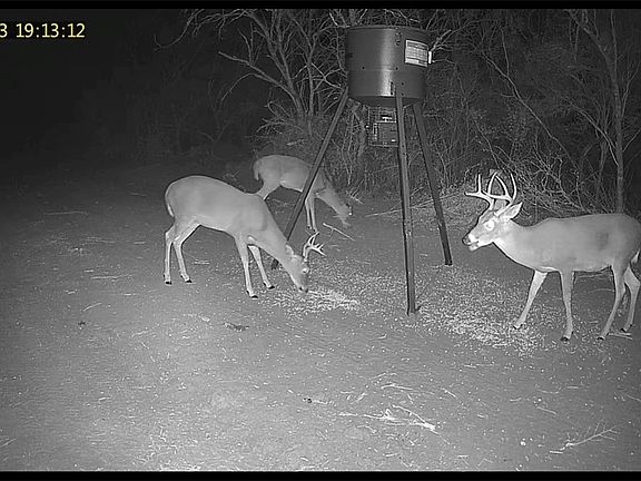 5th image of 3463 County Road 332