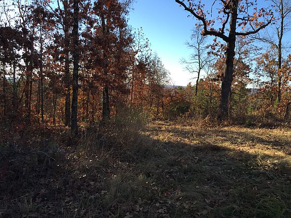 Mark Twain Forest back yard 