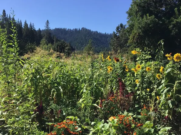 200 Humphrey Addition Rd, Glendale, OR 97442