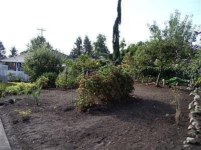 Vegetable Garden