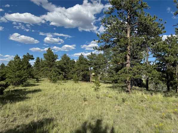 833 Angus Circle LOT 971, Hartsel, CO 80449