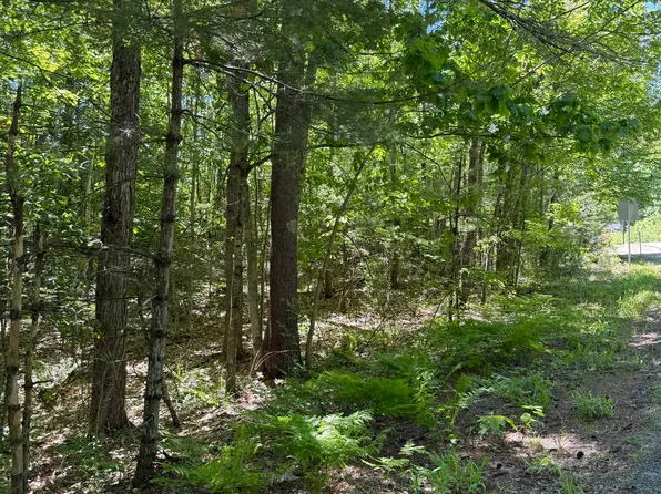 Lot 33, 34, 35 Washington Street, Barrington, NH 03825