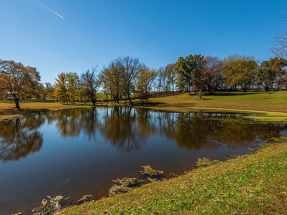 Pond