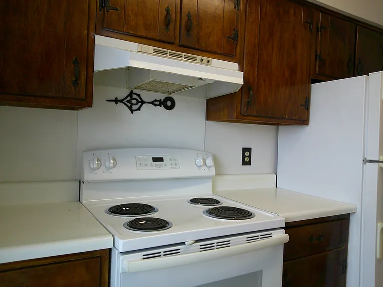 Kitchen with fridge, stove, dishwasher.