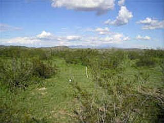 1st image of 10 N 395th Ave