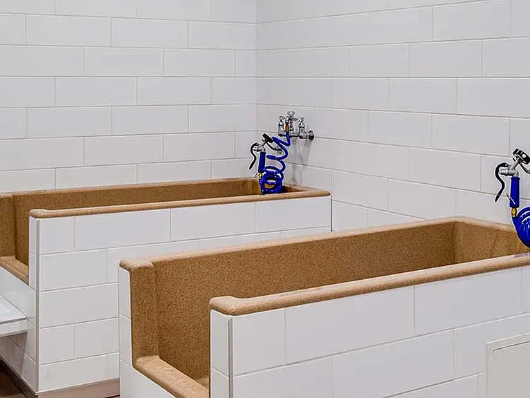 WAG Pet Spa