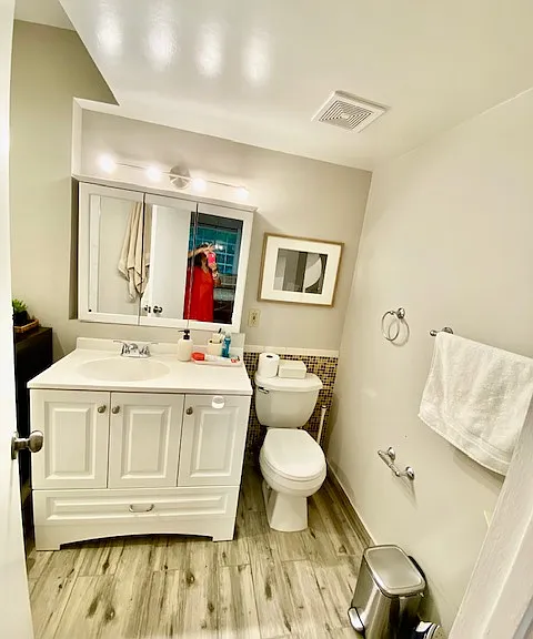 main bathroom, vynil plank floors