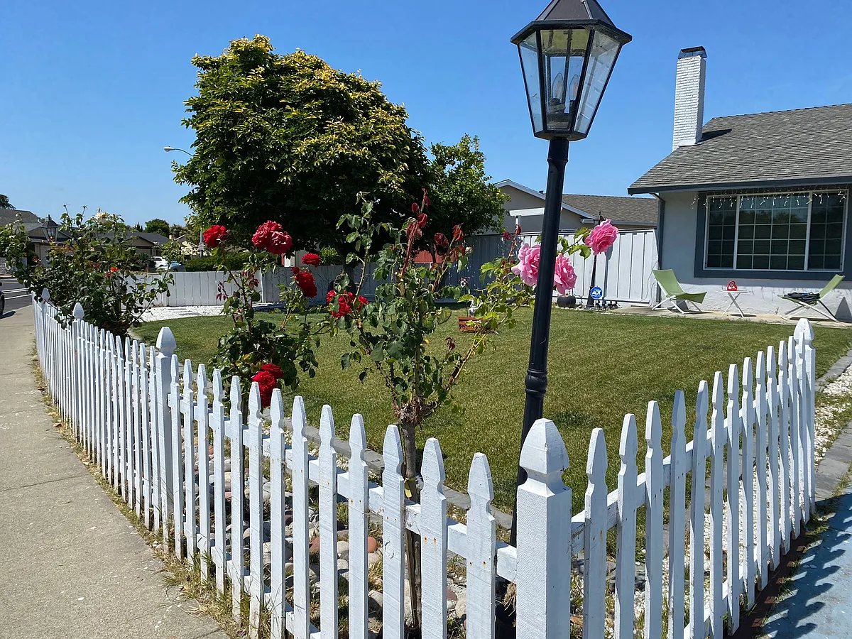 Frontyard-Garden - 31385 San Andreas Dr