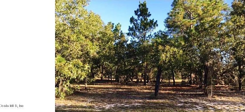 1st image of 10970 N Shady Hill Point