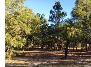 10970 N Shady Hill Point, Dunnellon, FL 34433