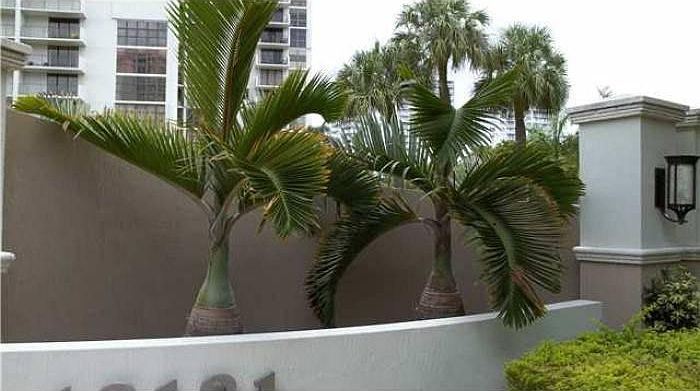 1st image of 18181 NE 31st Ct APT 1507