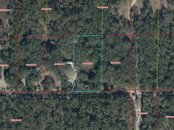03161-176-00 NE 122ND PLACE, BRONSON, FL 32621