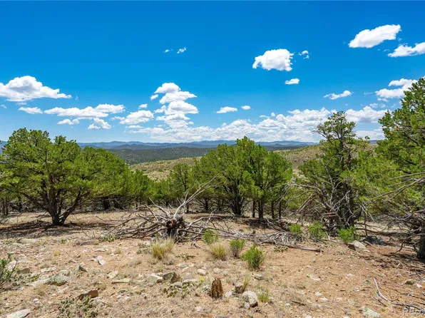 896 Shannon Trail, Cotopaxi, CO 81223