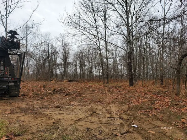 Friendly Ridge Rd, Crown City, OH 45623