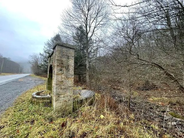 36828 Seneca Trl, Slatyfork, WV 26291