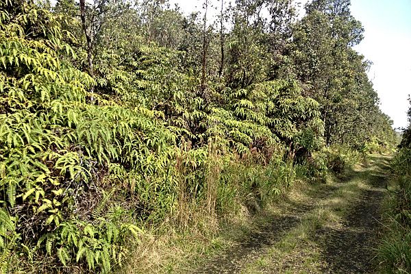 2nd image of Road 6 Lot 26