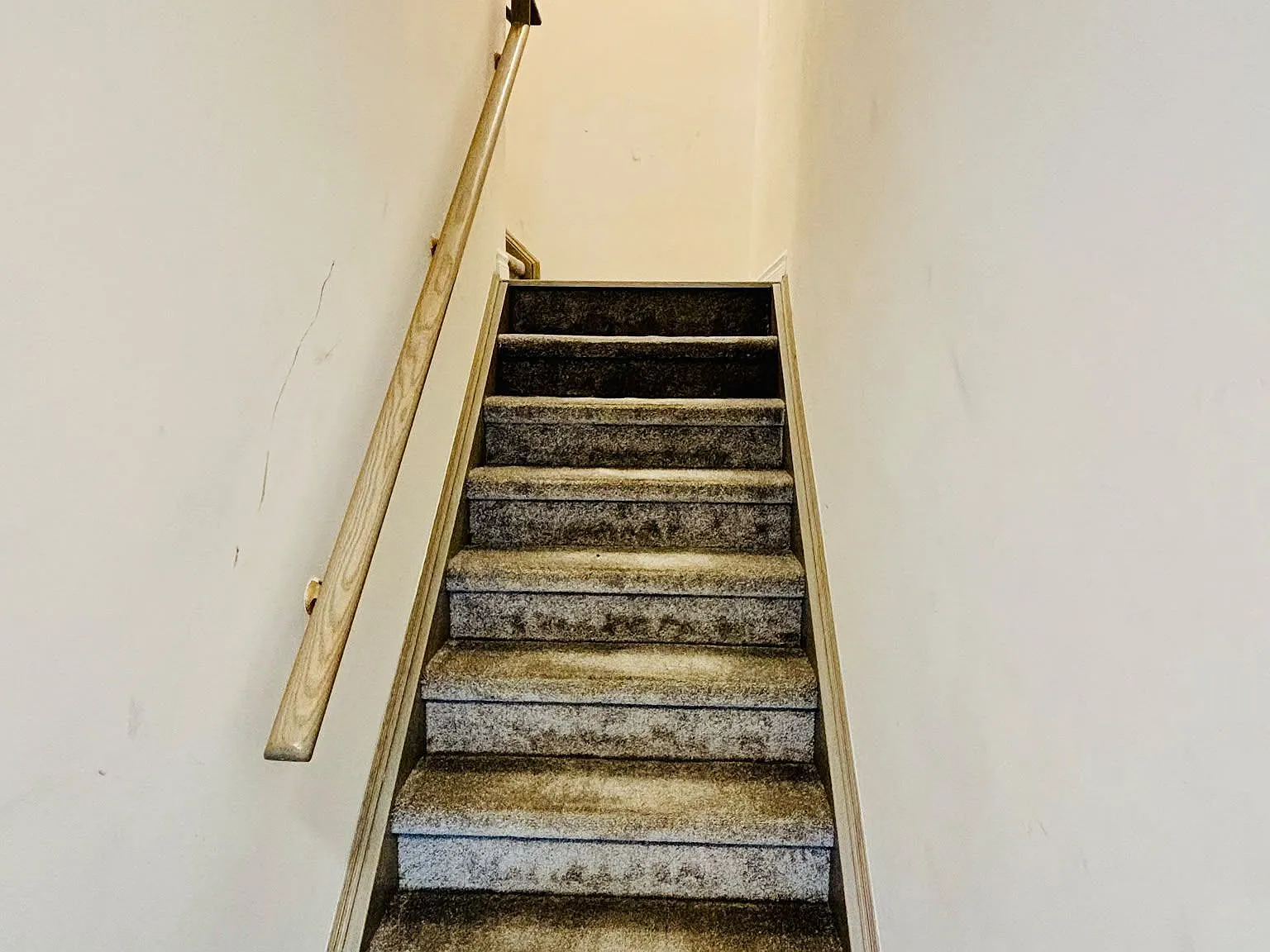 2 bed, $2,499 — Photo 4